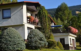Apartman Braun